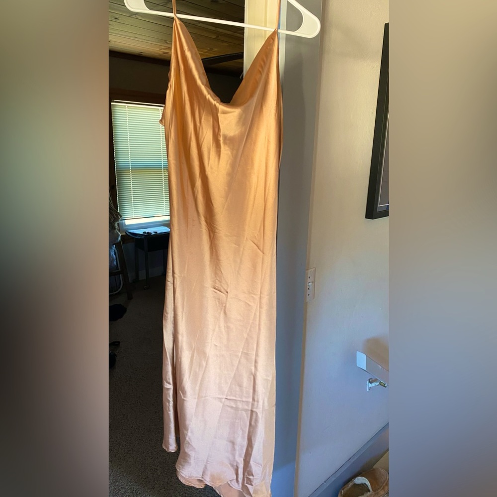Petal and Pup, Never Worn Dress